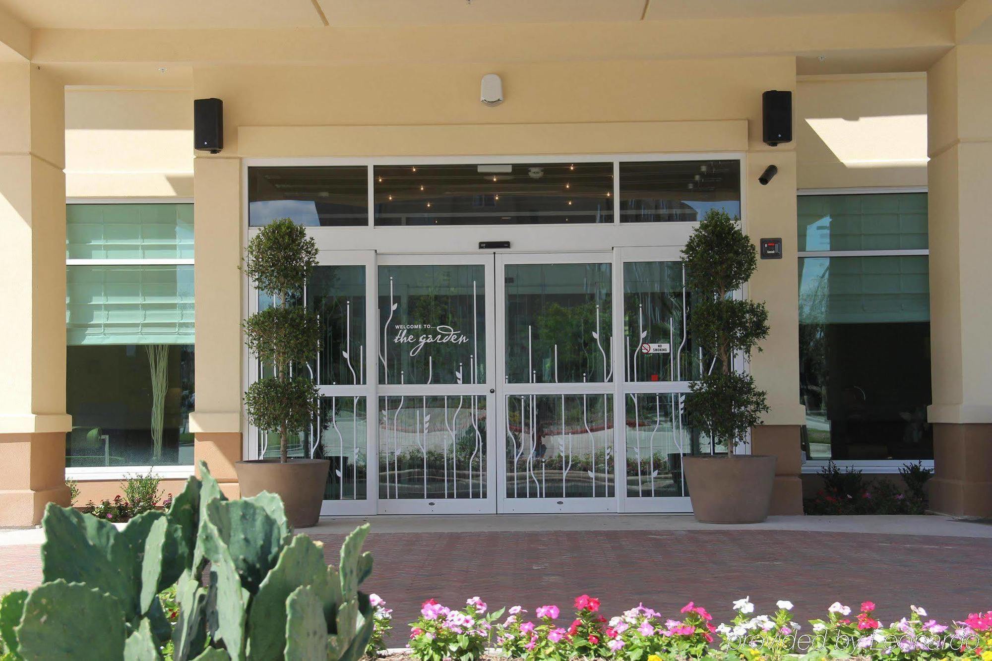 Hilton Garden Inn San Antonio/Rim Pass Drive Kültér fotó